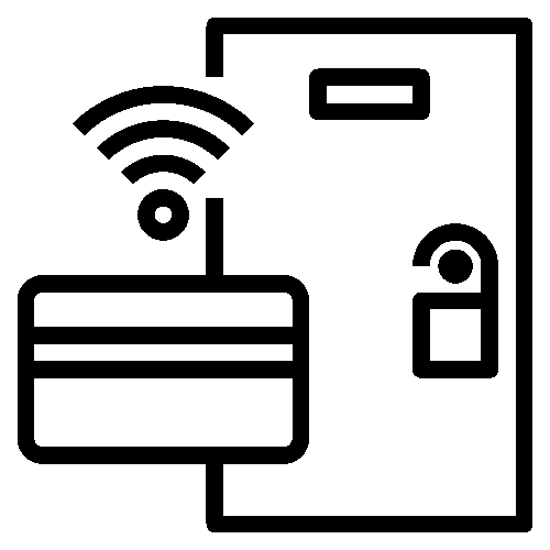 cat-image